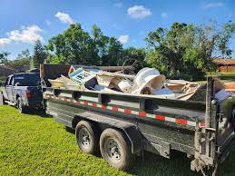 Shed Removal